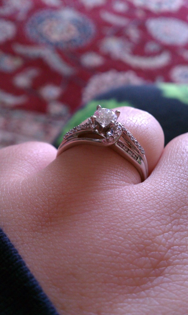 SwankyLuv: A Very Swanky Wedding: Getting Engaged