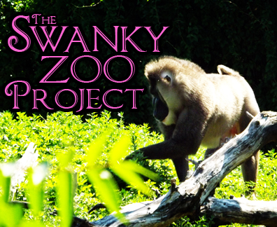 The Swanky Zoo Project