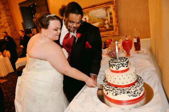 SwankyLuv: The Shedd Wedding: The Cake and Favors